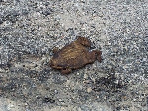 20140508_185905_klein