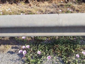 20140509_190219_klein