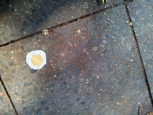 20141003_113908_klein