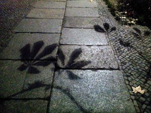 20141122_164805_klein